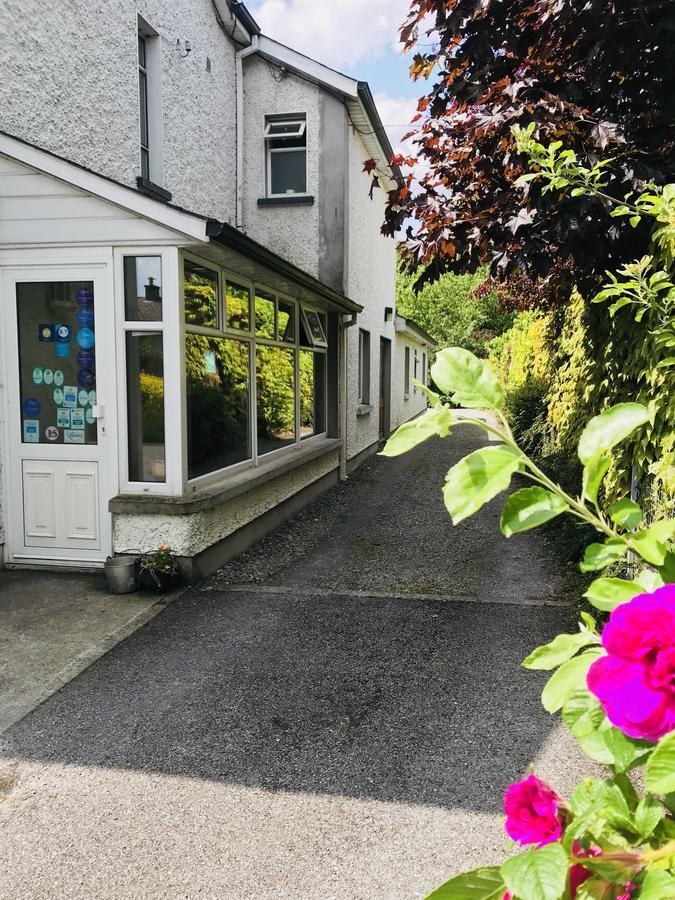 San Antonio Guesthouse Kilkenny Bagian luar foto