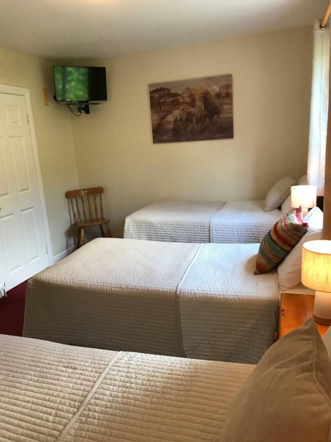 San Antonio Guesthouse Kilkenny Bagian luar foto
